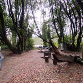 Review photo of Gualala Point Regional Park by Taylor A., September 13, 2022