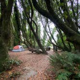 Review photo of Gualala Point Regional Park by Taylor A., September 13, 2022