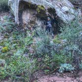 Review photo of North Crestone Creek Campground by Felice E., September 13, 2022