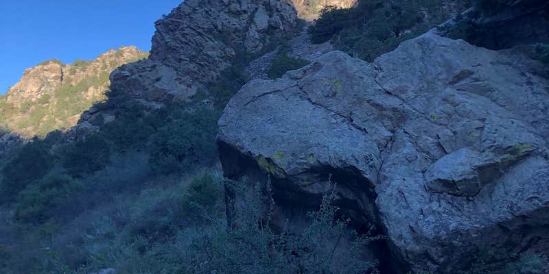 Camper submitted image from North Crestone Creek Campground