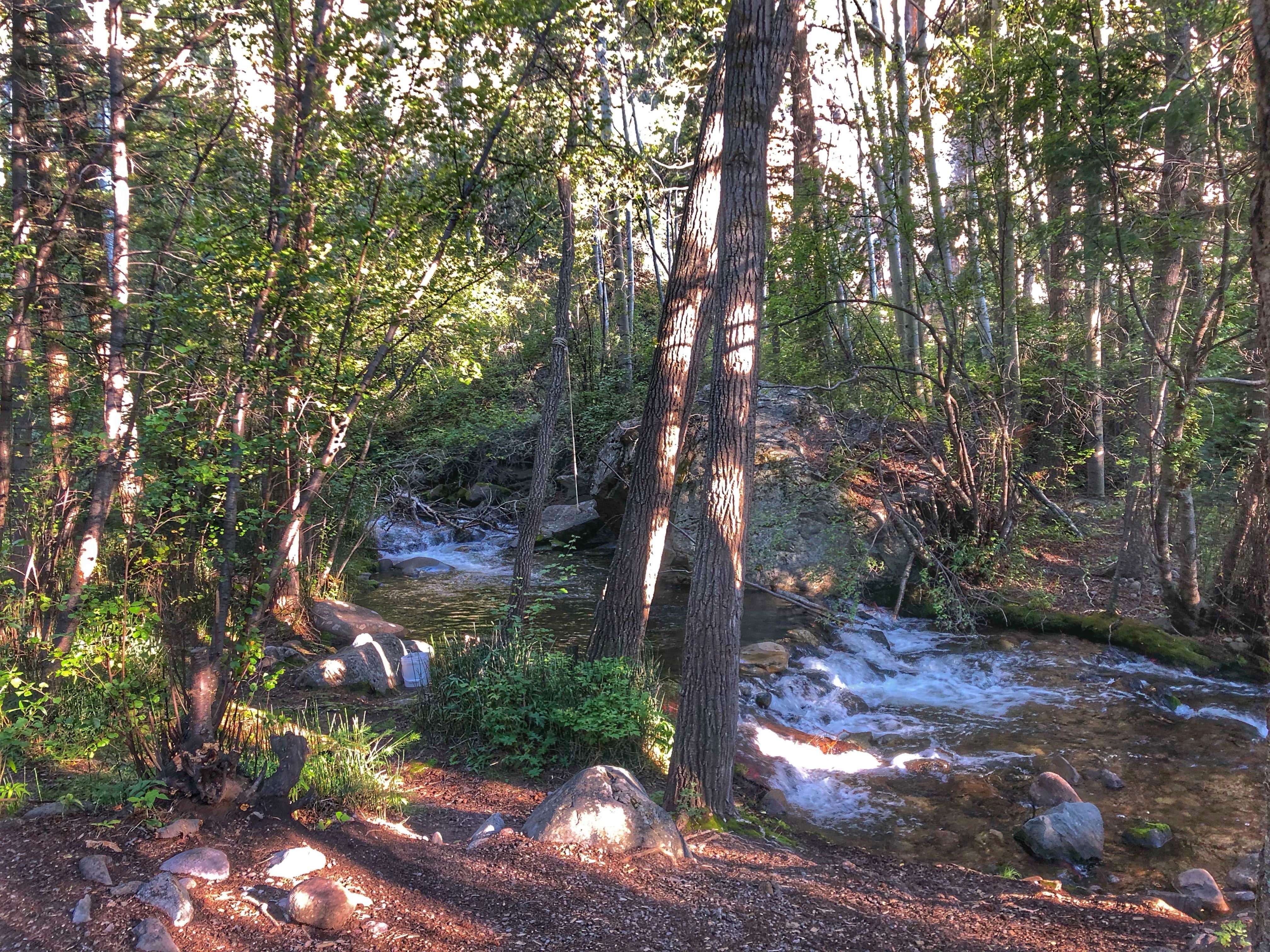 Camper-submitted photo at North Crestone Creek Campground near Crestone, CO