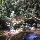 Review photo of Long Creek Falls Appalachian Trail by Anna R., July 26, 2018