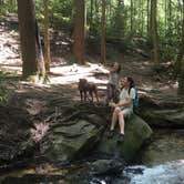 Review photo of Long Creek Falls Appalachian Trail by Anna R., July 26, 2018