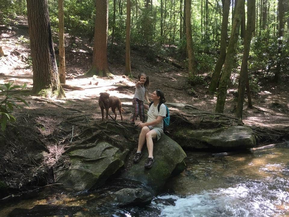 Camper submitted image from Long Creek Falls Appalachian Trail - 3