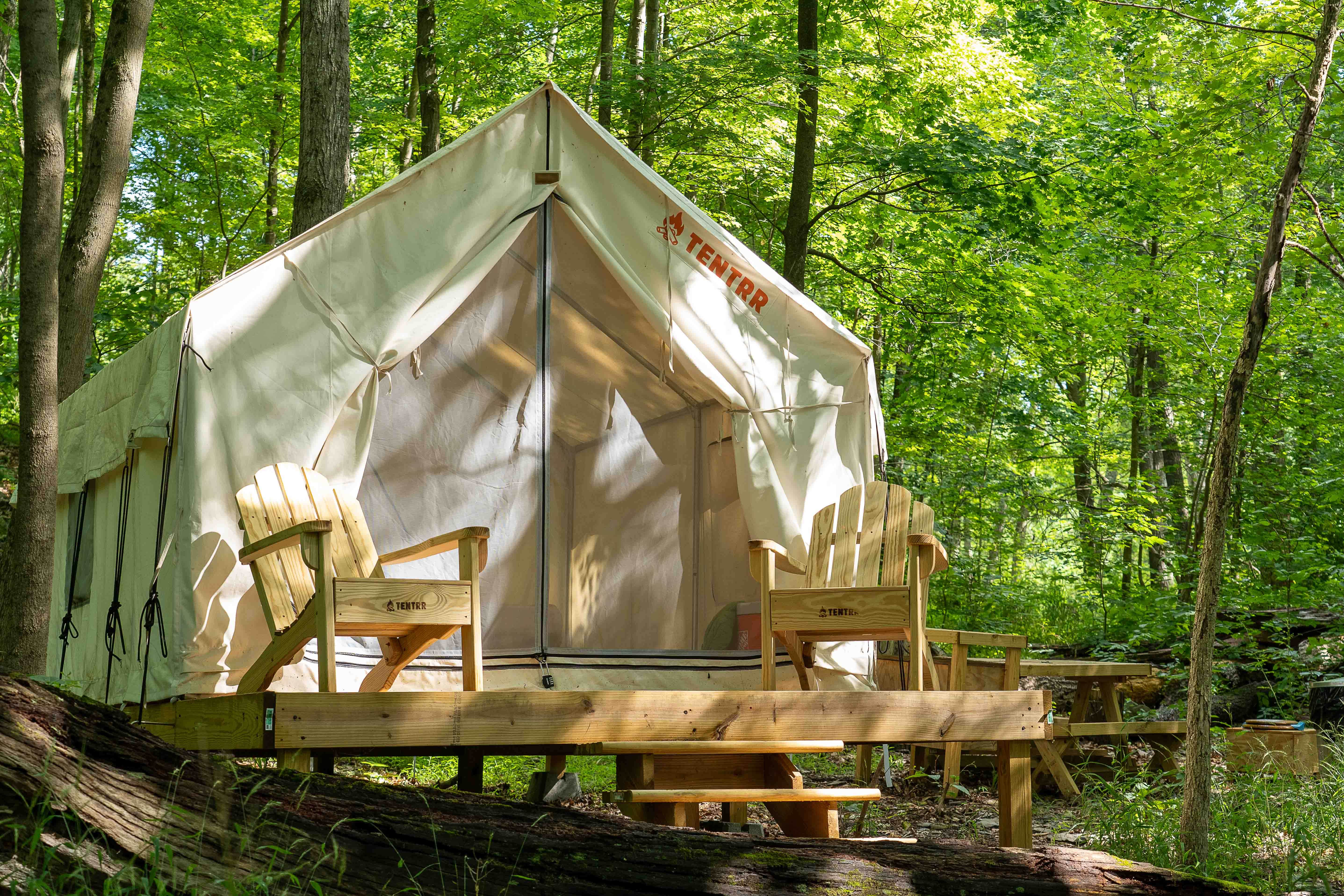 The Dyrt's photo at Tentrr State Park Site - Mills Norrie State Park Site A near Hyde Park, NY