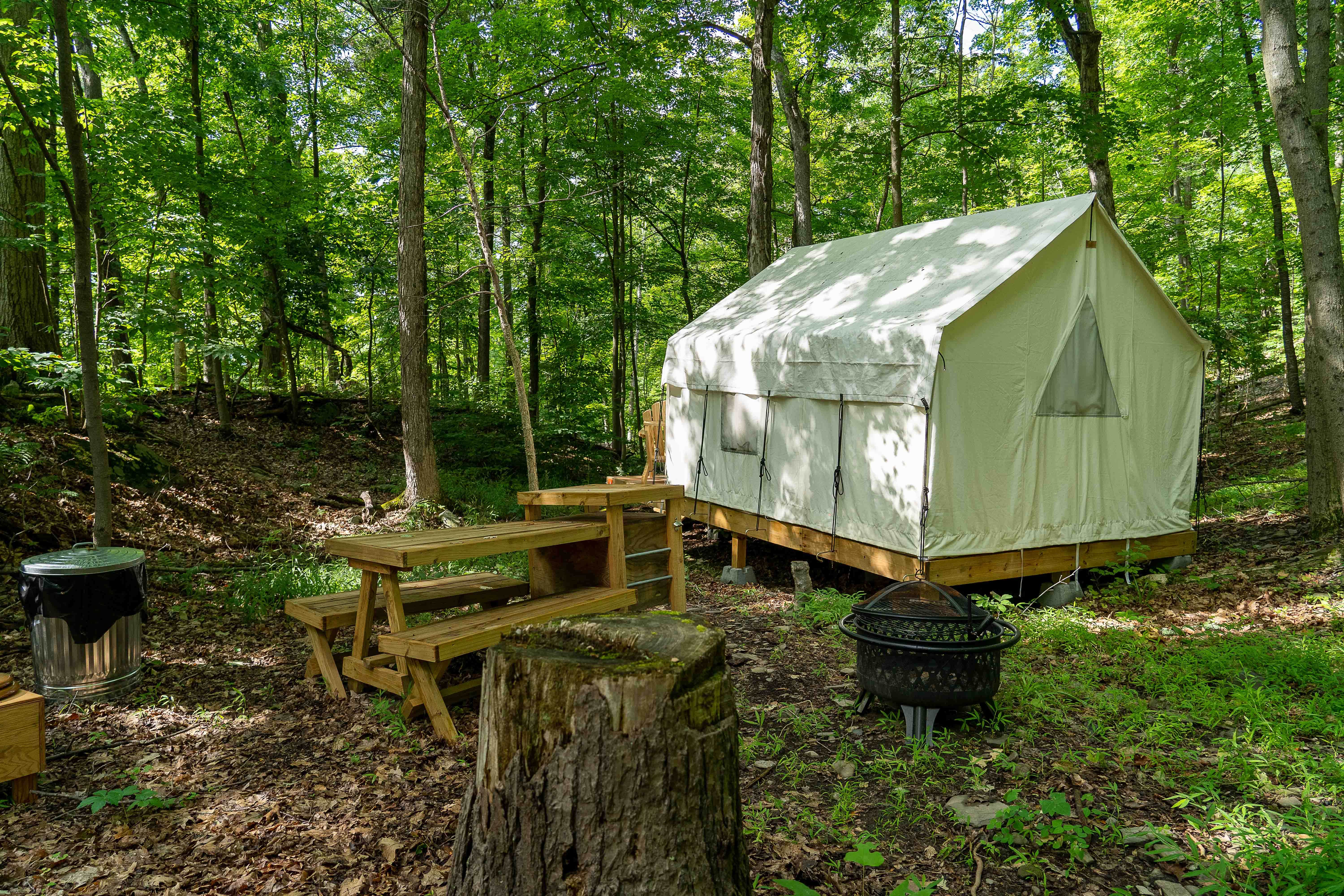 The Dyrt's photo at Tentrr State Park Site - Mills Norrie State Park Site A near Ulster Park, NY
