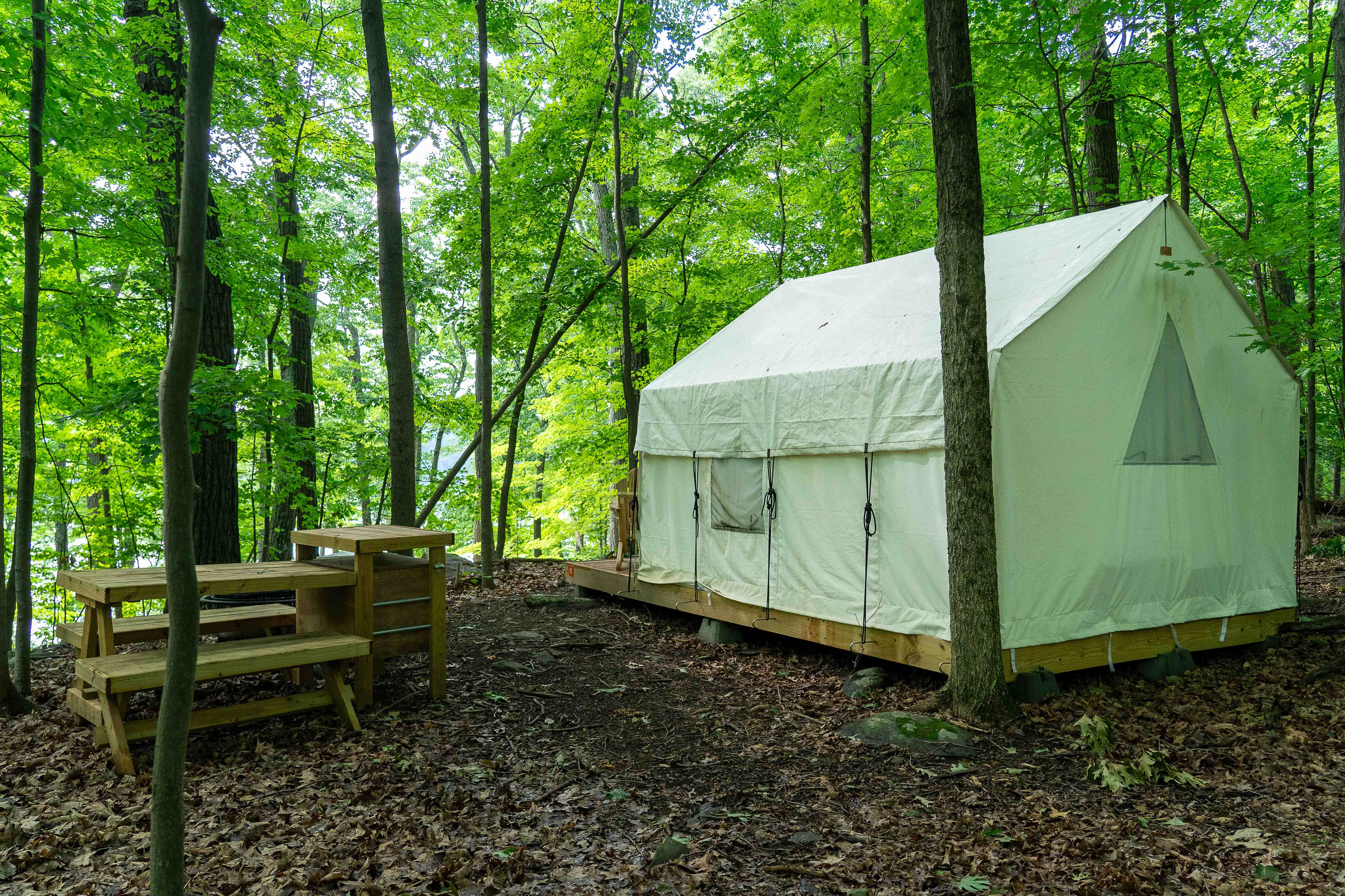 The Dyrt's photo at Tentrr State Park Site - Mills Norrie State Park Site C near Staatsburg, NY