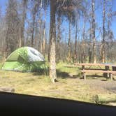 Review photo of Headwaters Campground at Flagg Ranch — John D. Rockefeller, Jr., Memorial Parkway by Haylea A., July 26, 2018
