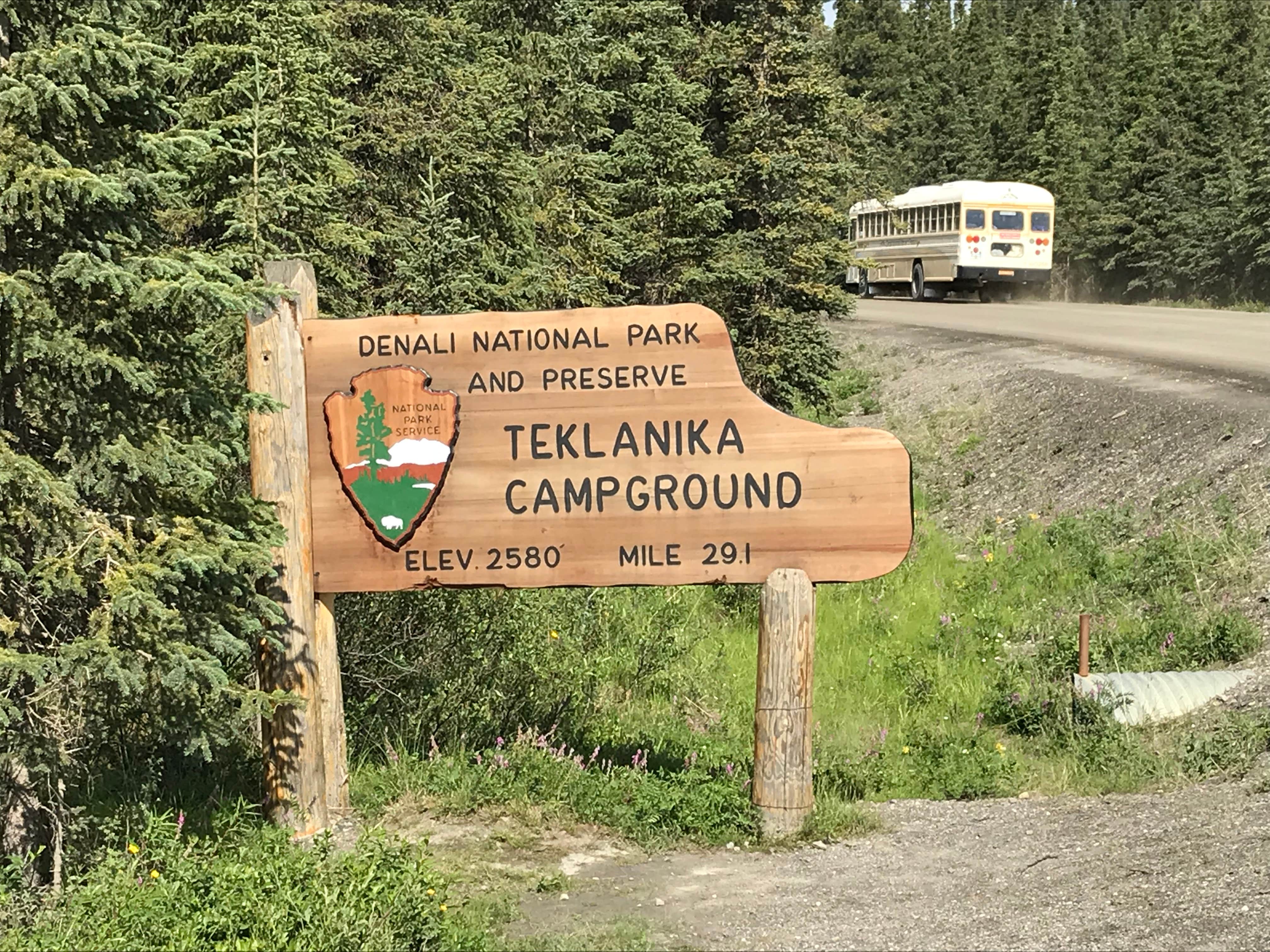 Camper submitted image from Teklanika River Campground — Denali National Park - 5