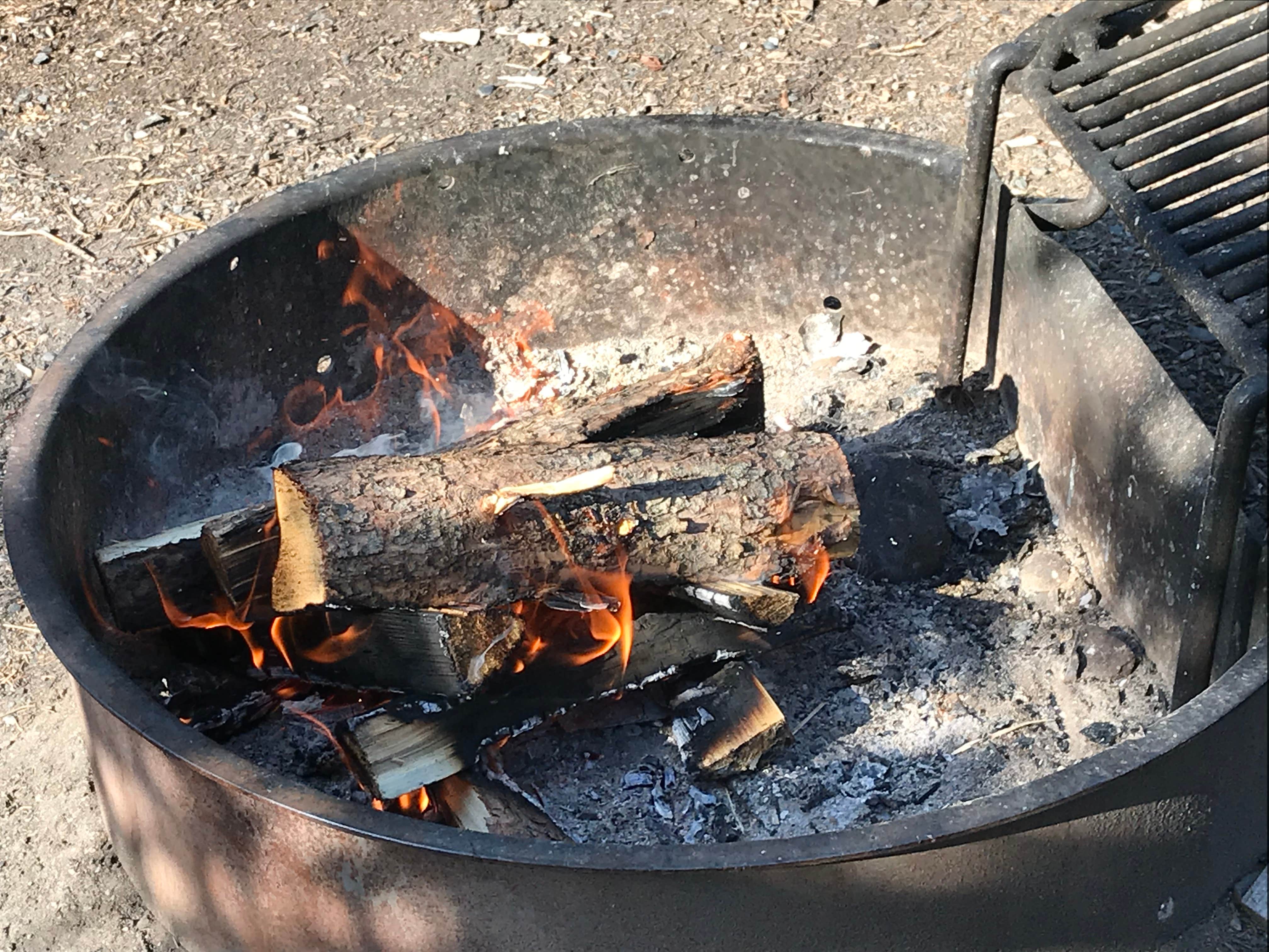 Camper-submitted photo at Teklanika River Campground — Denali National Park near Denali National Park and Preserve