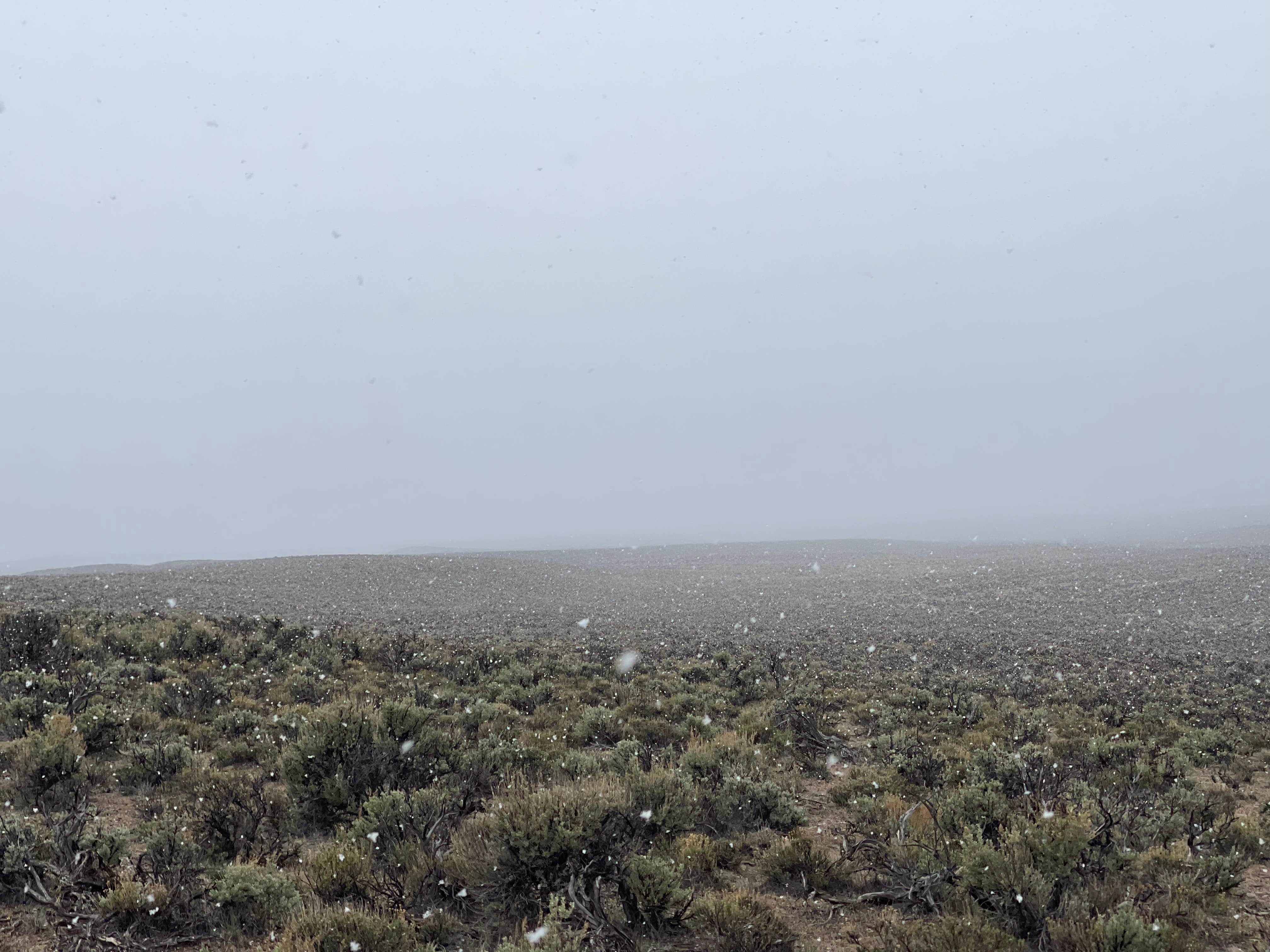 Camper-submitted photo at Ethereal Ranch near Elko, NV