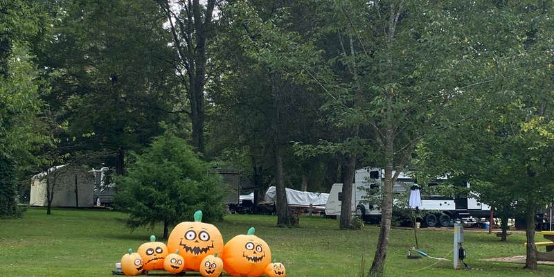 Camper submitted image from Shellmound RV Resort & Campground