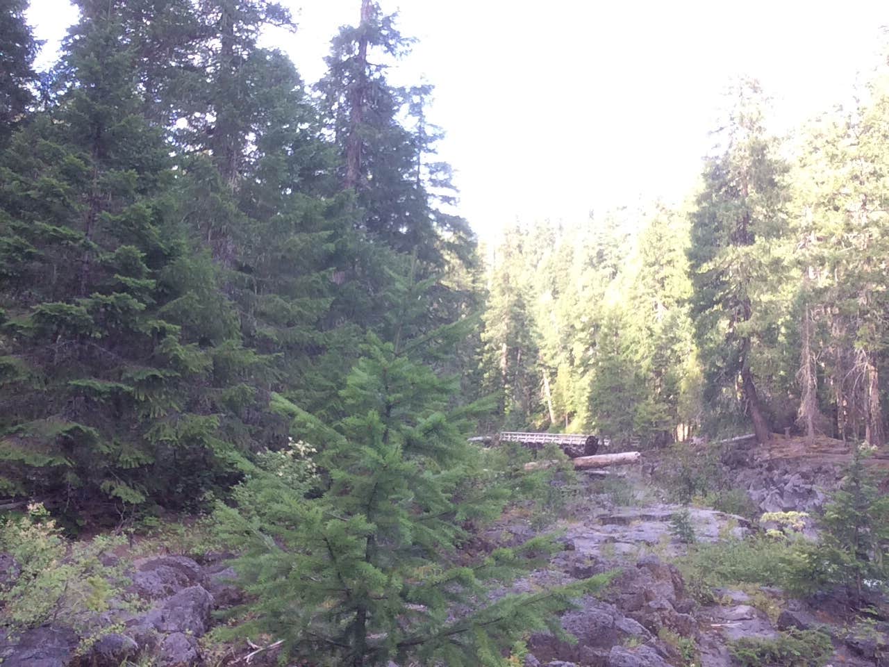 Camper-submitted photo at Taidnapam Park near Gifford Pinchot National Forest