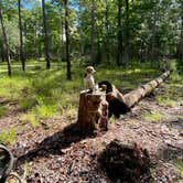 Review photo of Goose Creek State Park Campground by Melanie T., September 13, 2022