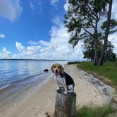 Review photo of Goose Creek State Park Campground by Melanie T., September 13, 2022