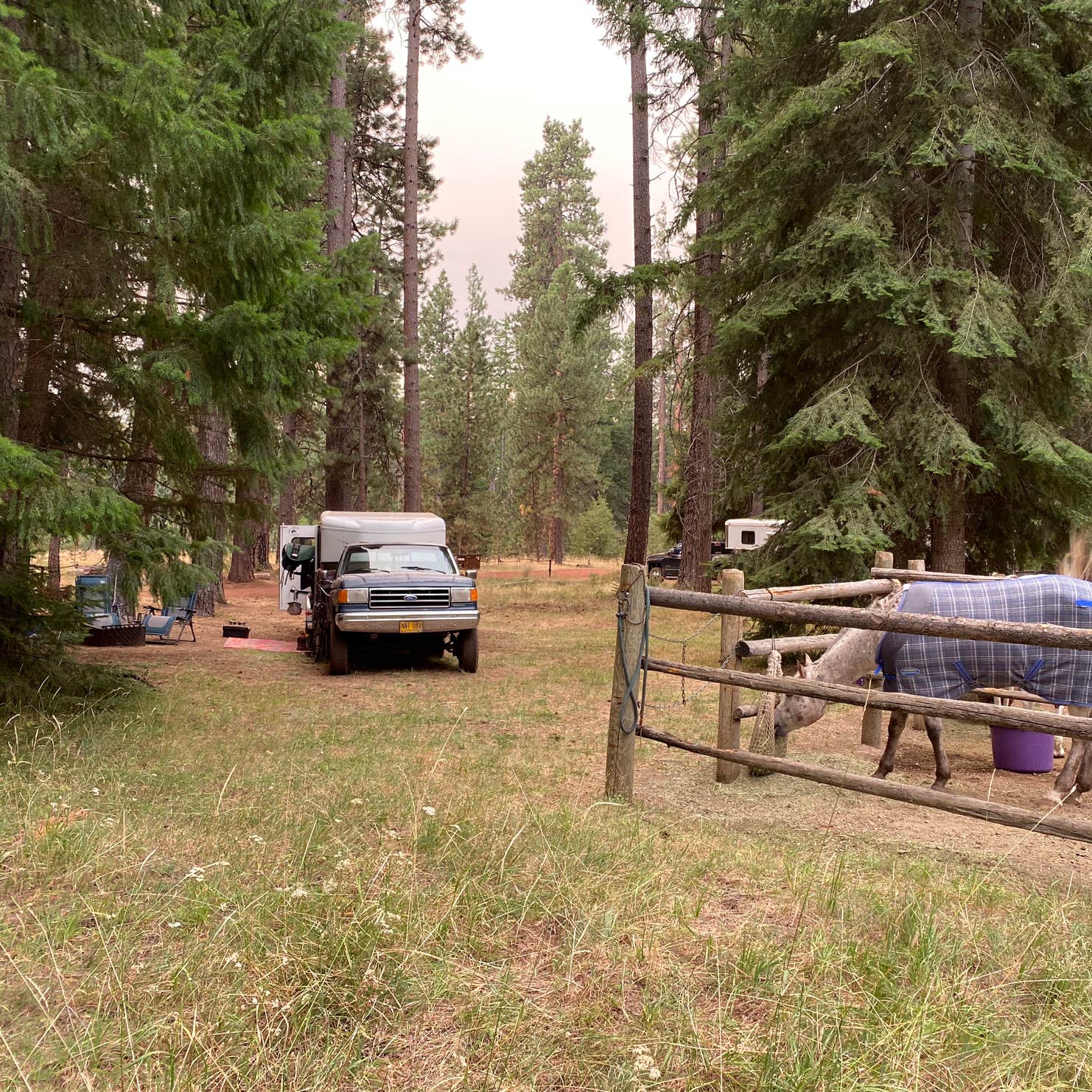 Sheep Springs Horse Camp Camping The Dyrt