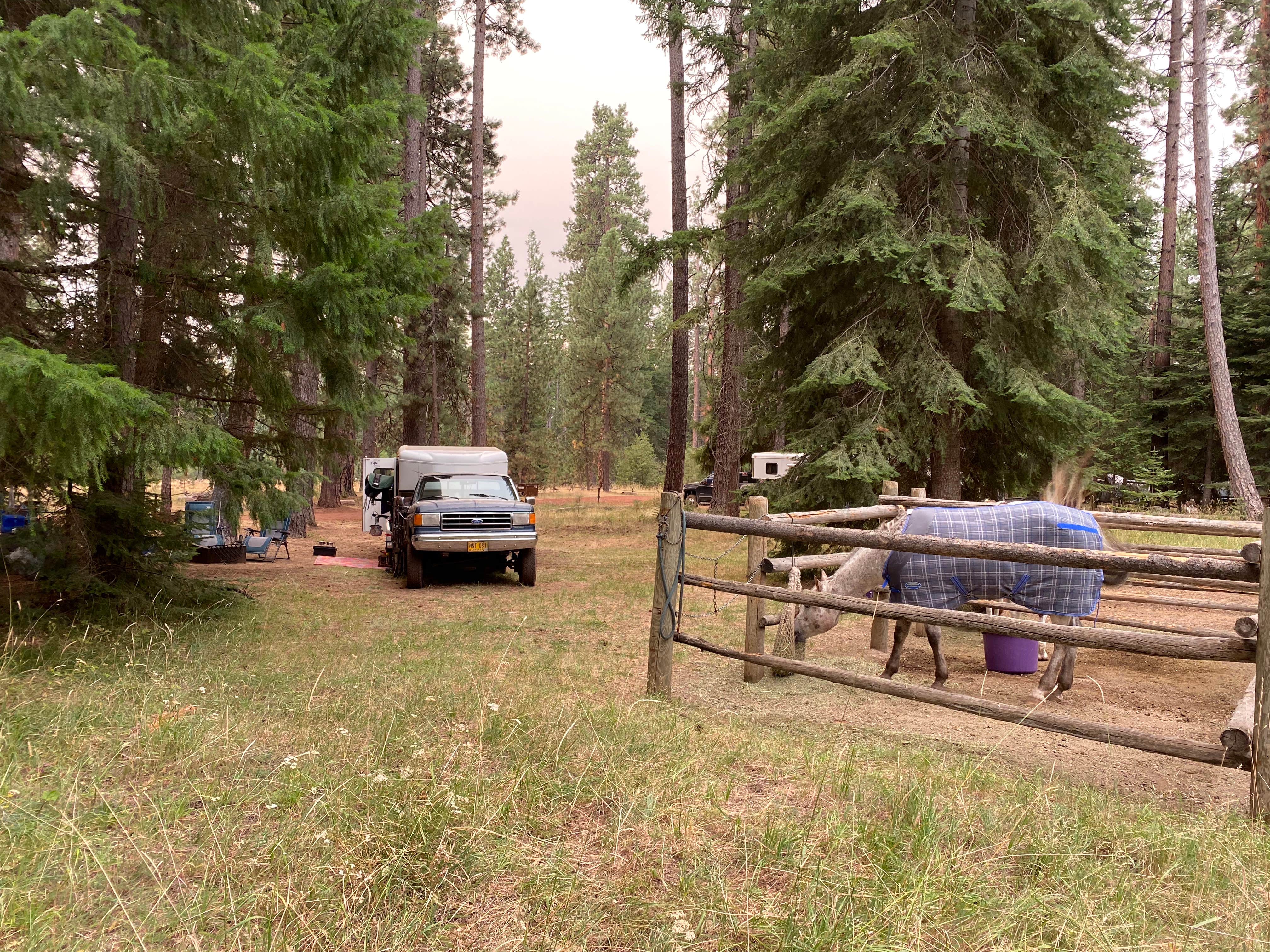 Camper submitted image from Sheep Springs Horse Camp - 4