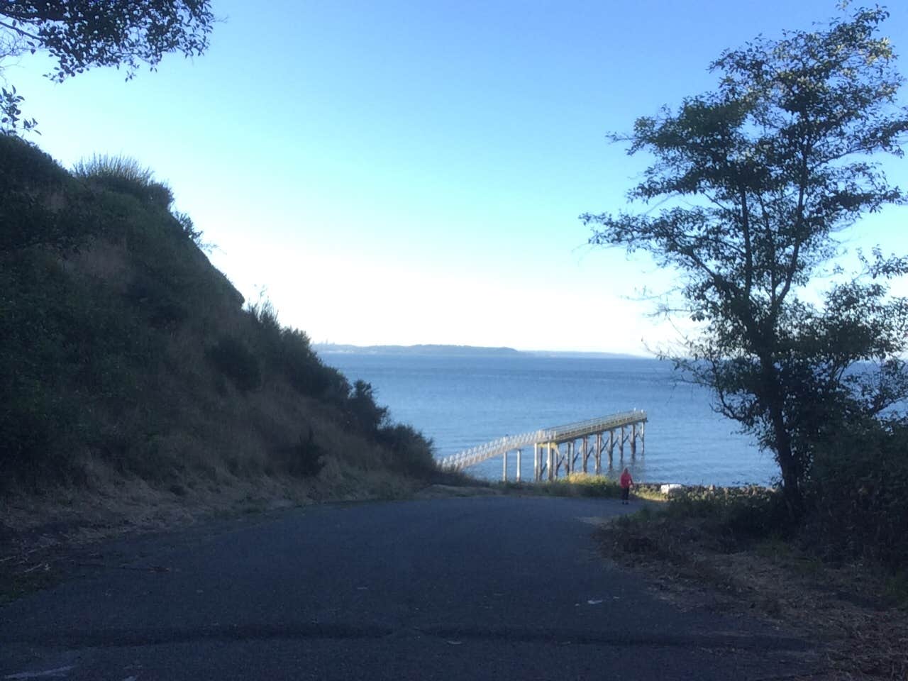Camper-submitted photo at Taidnapam Park near Gifford Pinchot National Forest