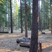 Review photo of Sheep Springs Horse Camp by Bill I., September 13, 2022