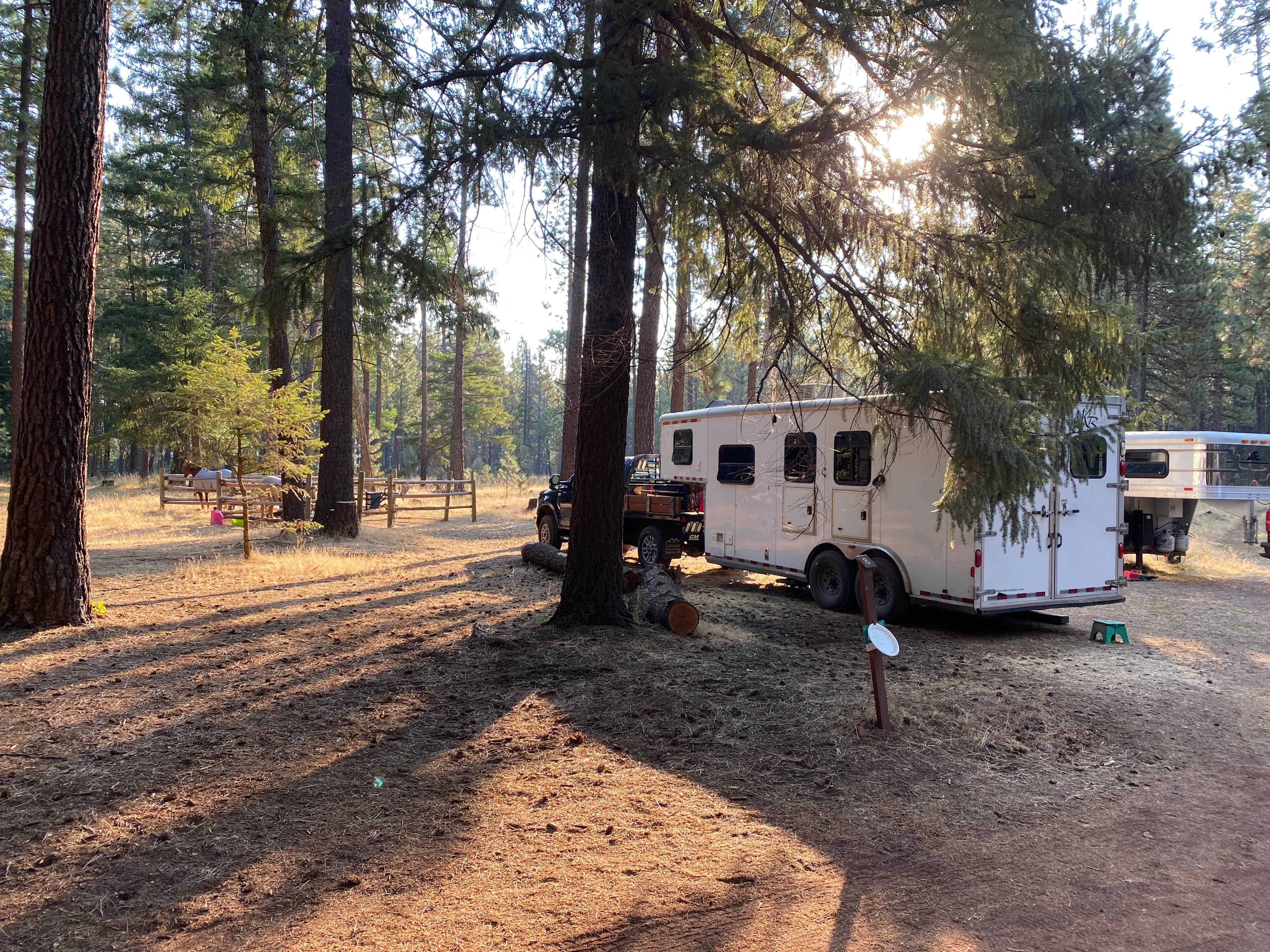 Camper submitted image from Sheep Springs Horse Camp - 4