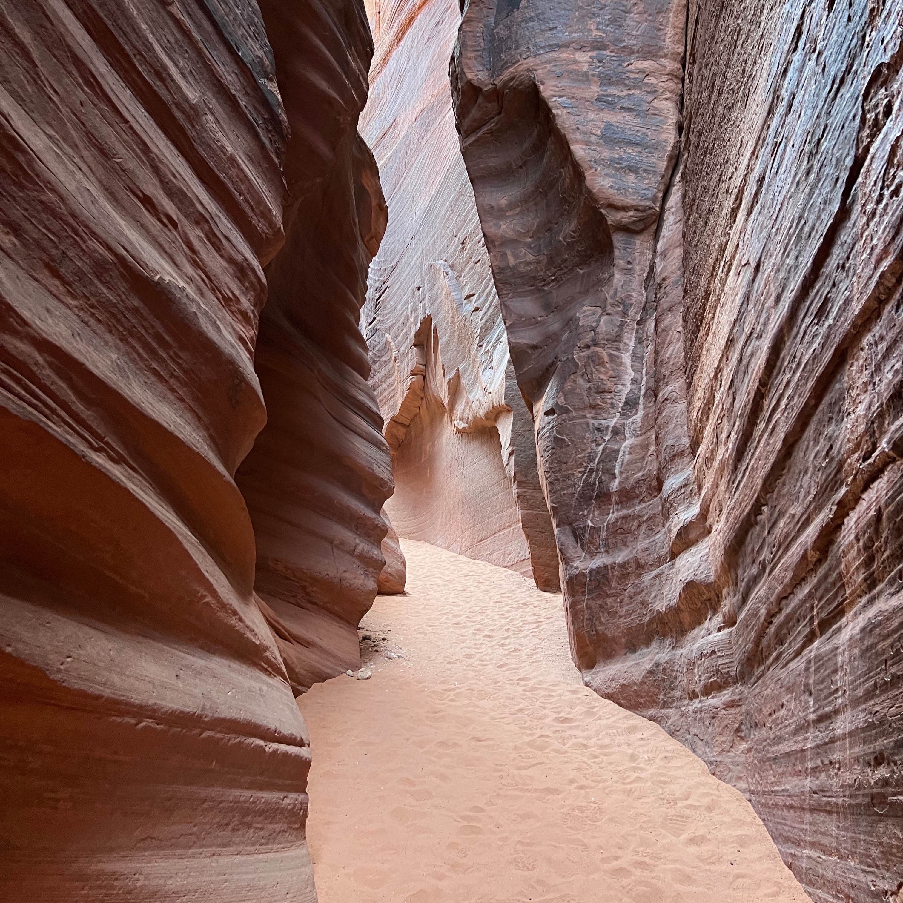 are dogs allowed in paria canyon