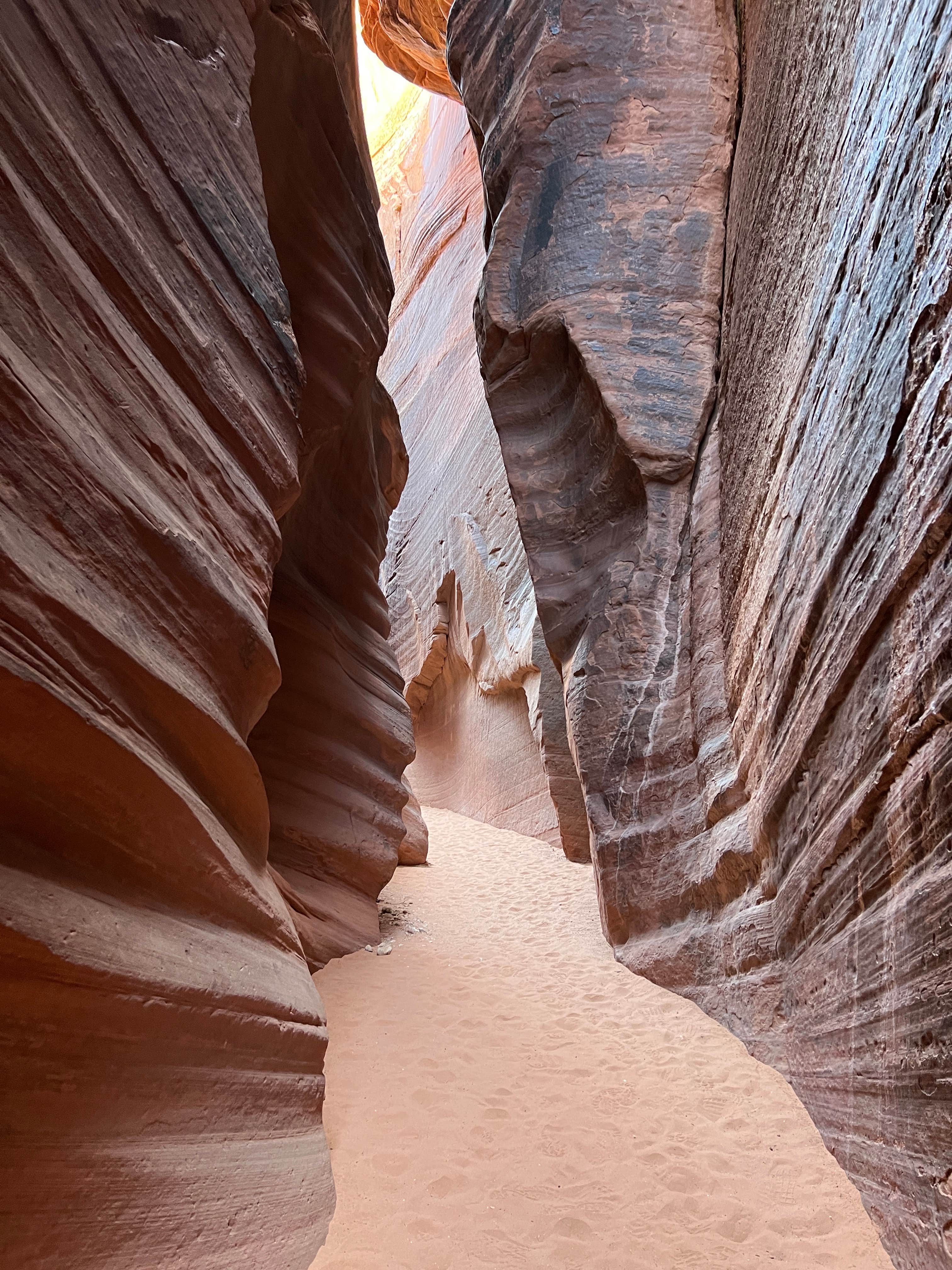 Camper submitted image from Paria Canyon Backcountry - Confluence Site - 2