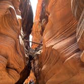 Review photo of Paria Canyon Backcountry - Confluence Site by Kristin S., September 13, 2022