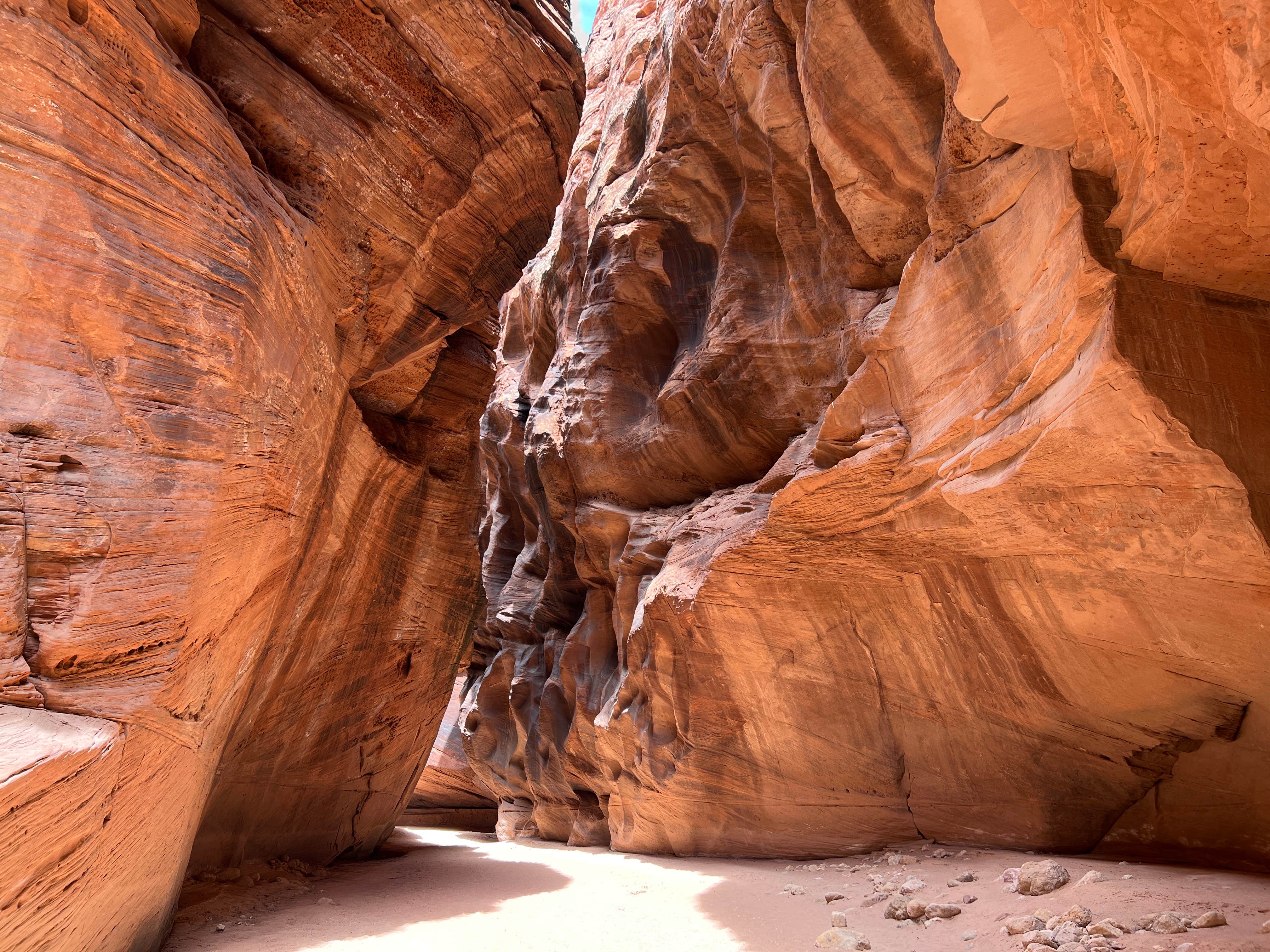 Camper-submitted photo at Paria Canyon Backcountry - Confluence Site near Page, AZ