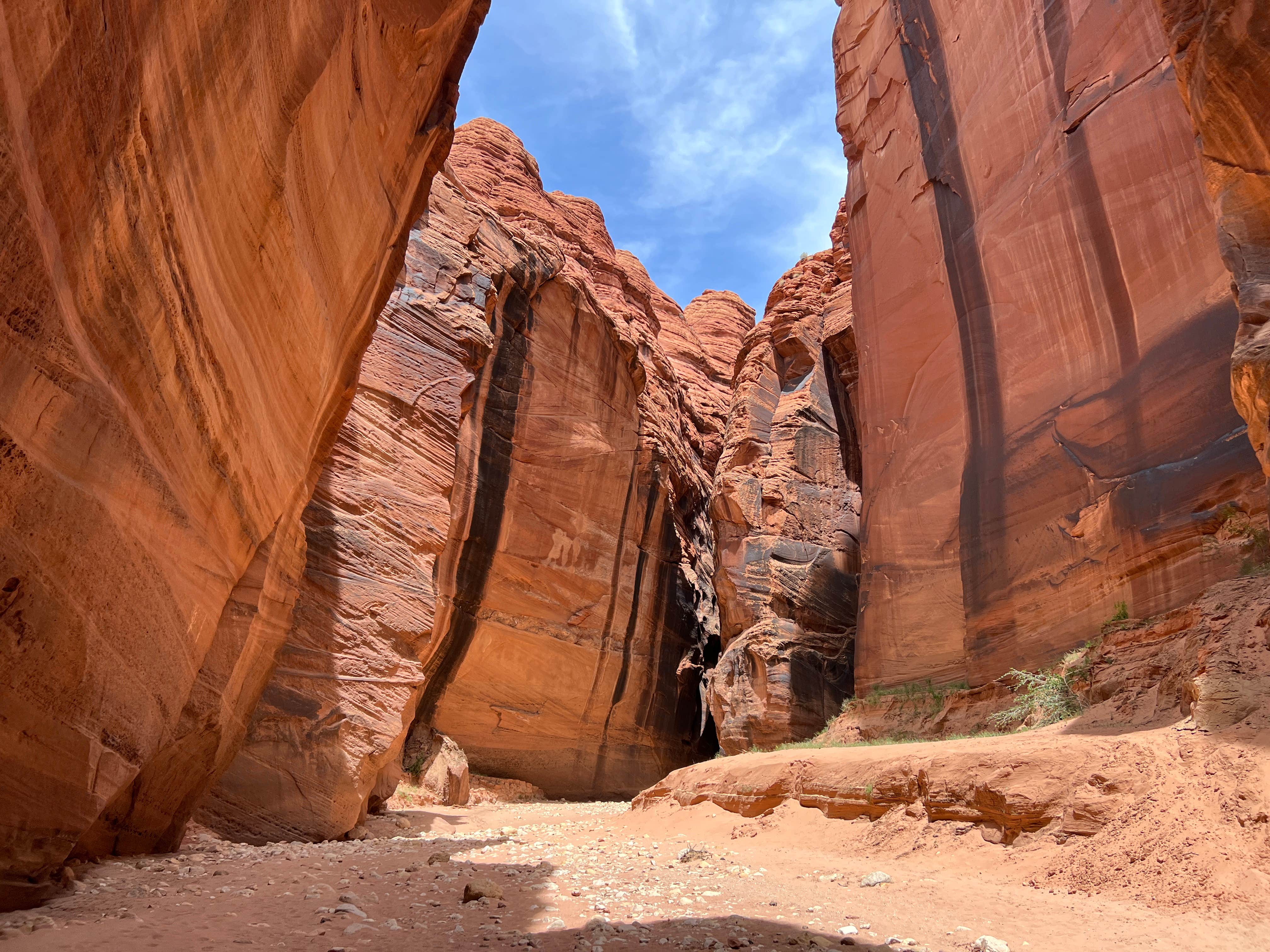 Camper-submitted photo at Paria Canyon Backcountry - Confluence Site near Page, AZ