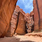 Review photo of Paria Canyon Backcountry - Confluence Site by Kristin S., September 13, 2022