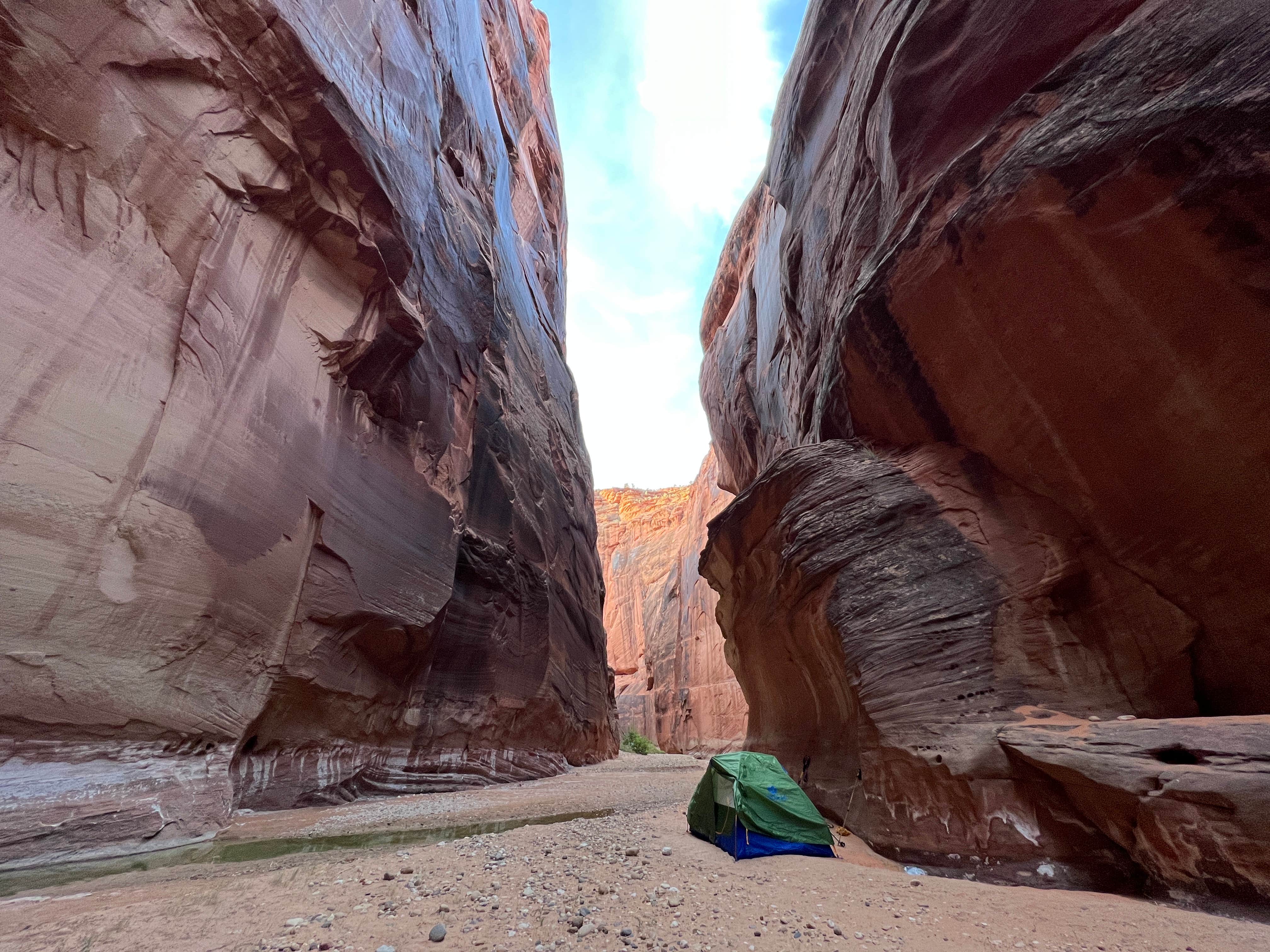 Camper submitted image from Paria Canyon Backcountry - Confluence Site - 1