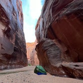Review photo of Paria Canyon Backcountry - Confluence Site  by Kristin S., September 13, 2022