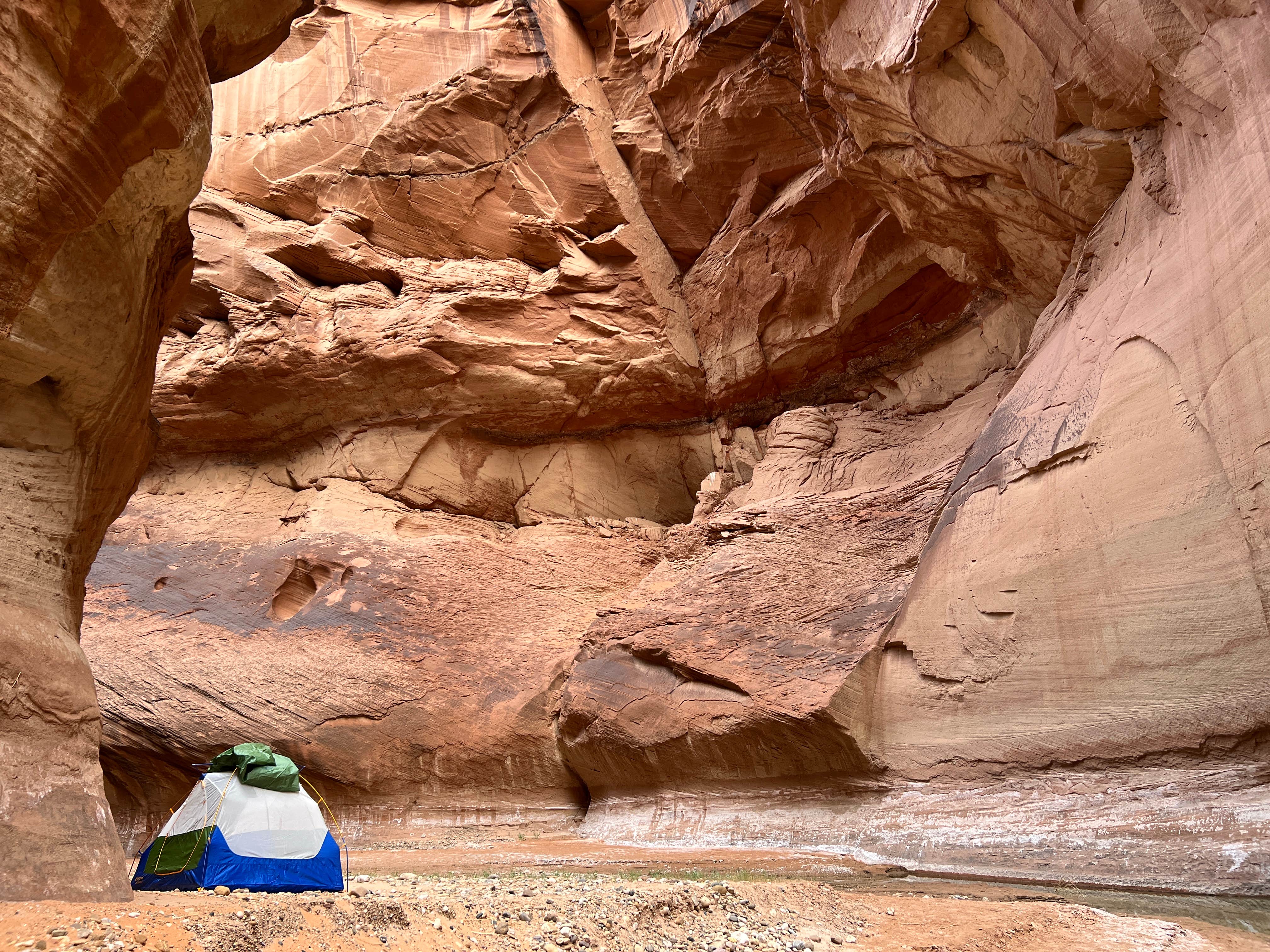 Camper-submitted photo at Paria Canyon Backcountry - Confluence Site near Page, AZ