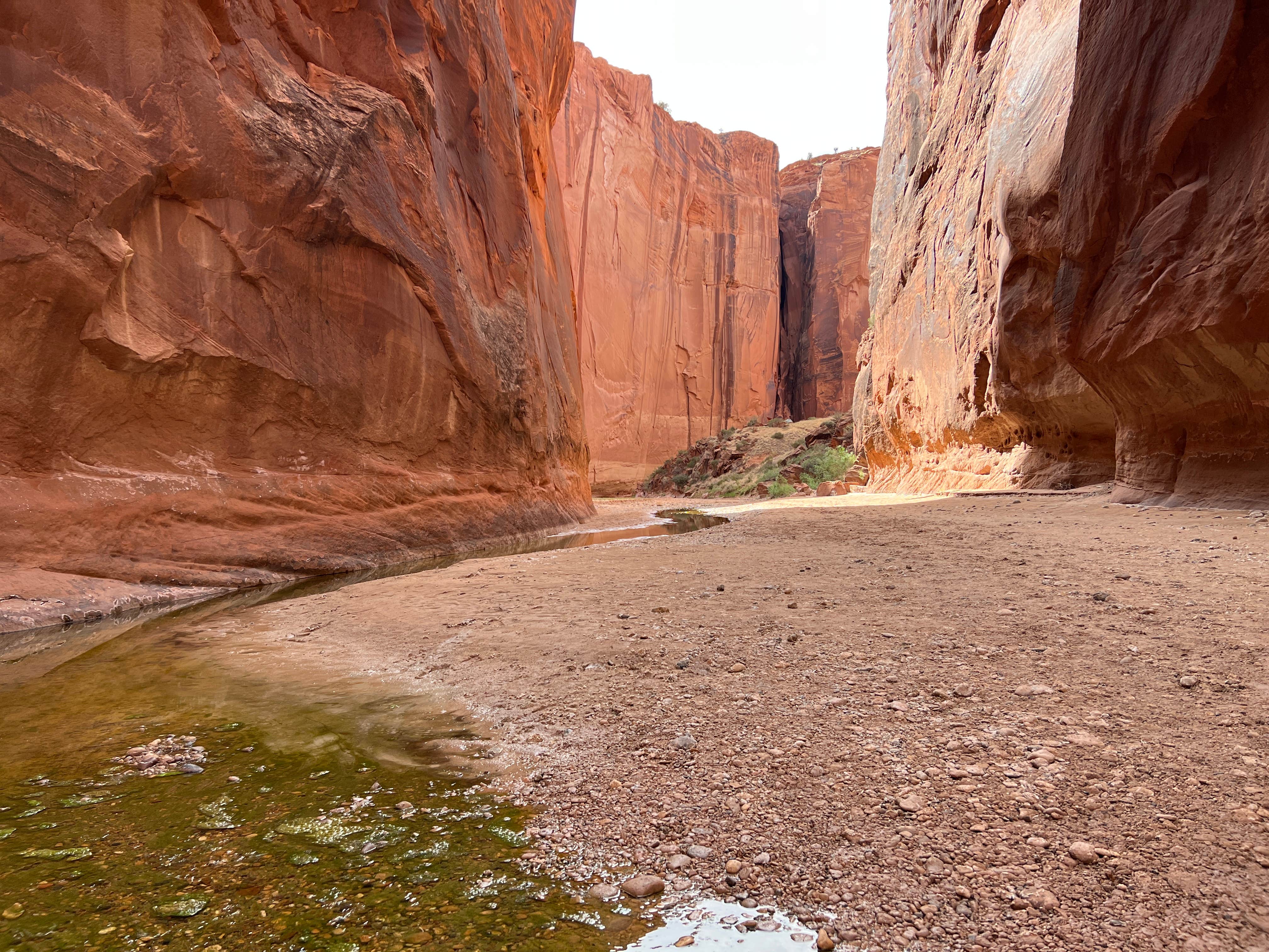 Camper submitted image from Paria Canyon Backcountry - Confluence Site - 4