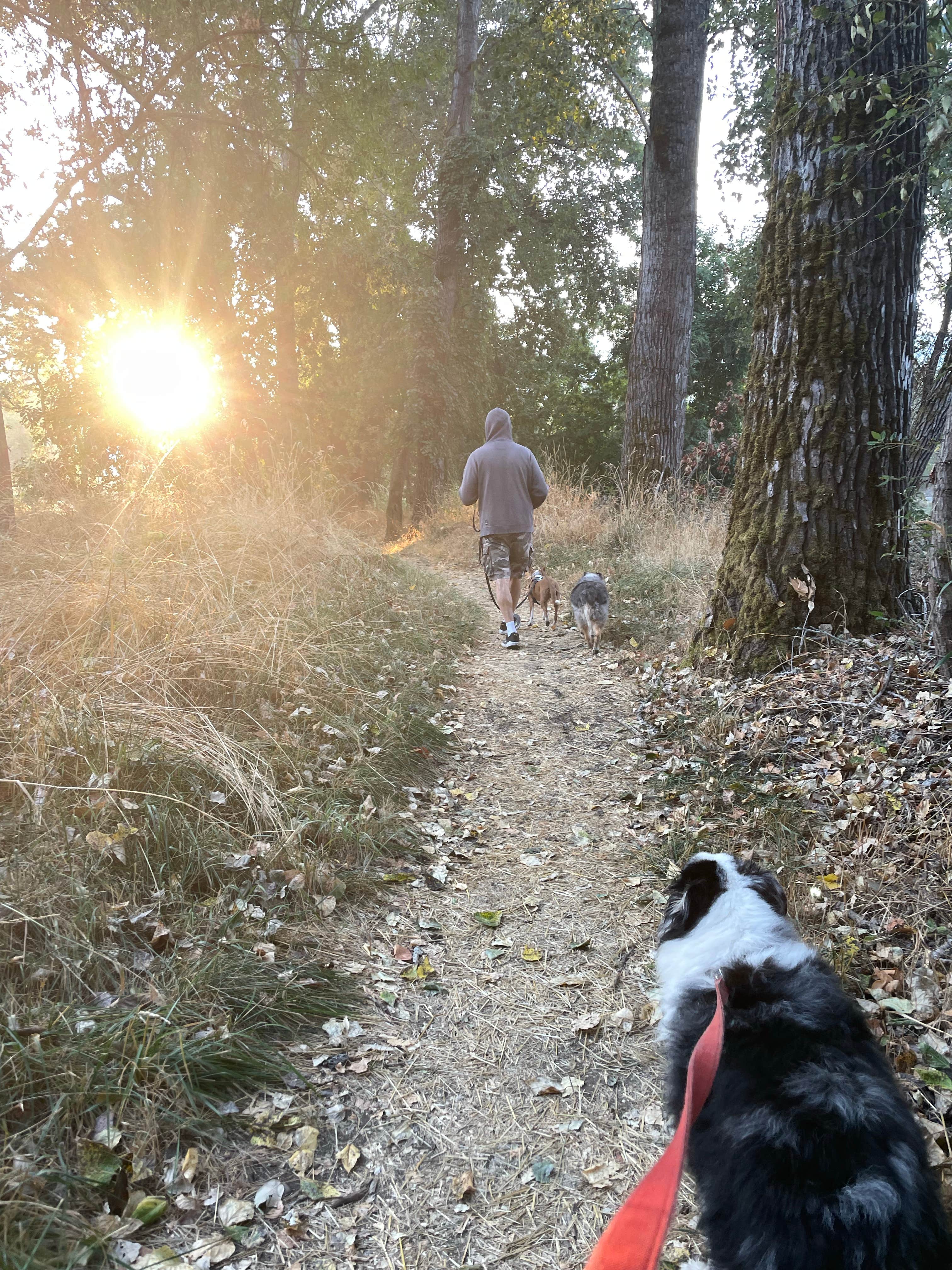 Lori T.'s photo of camping with pets at Valley of the Rogue State Park Campground near Grants Pass, OR