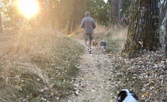 Lori T.'s photo of camping with pets at Valley of the Rogue State Park Campground near Central Point, OR