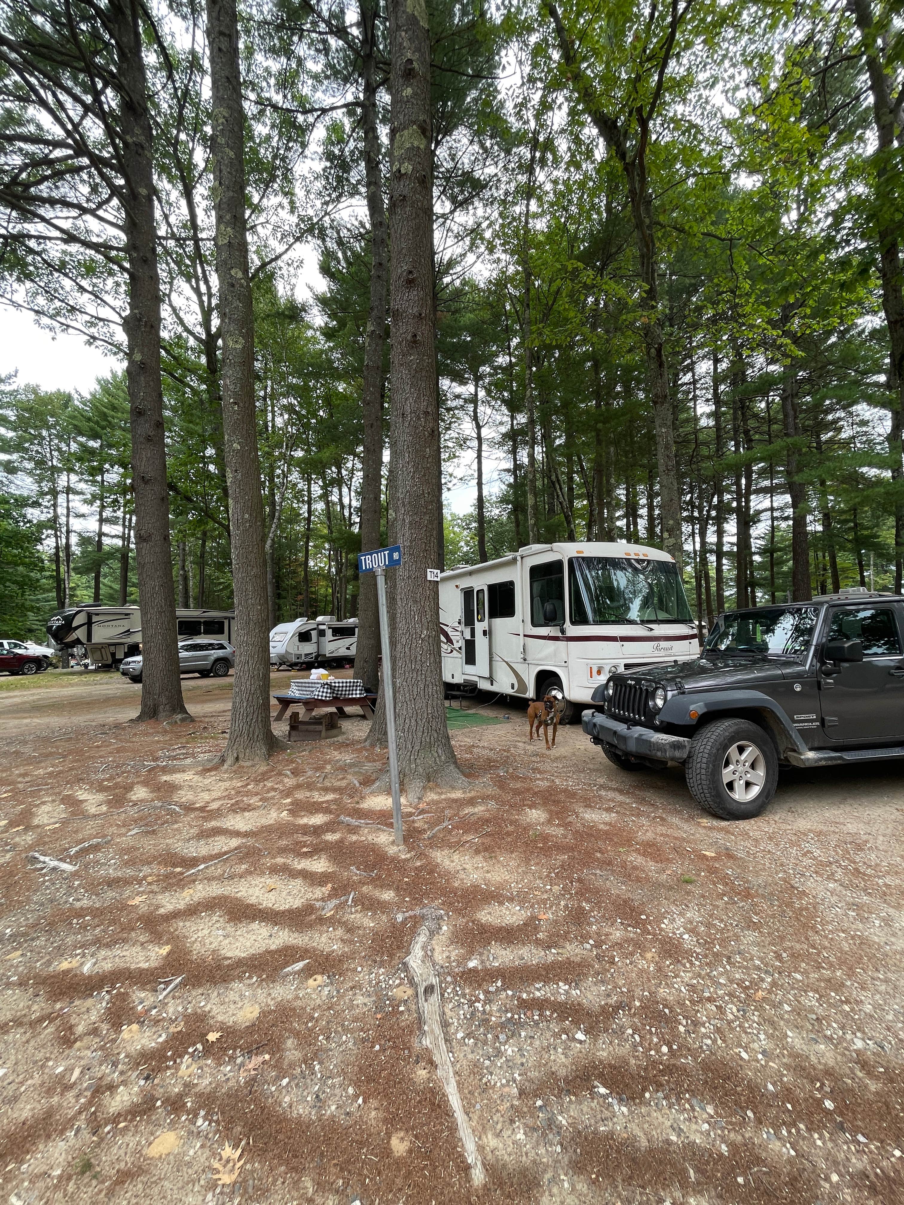 Camping near Camp It'll-Do at Bonney Eagle Pond: Wassamki Springs Campground, Gorham, Maine