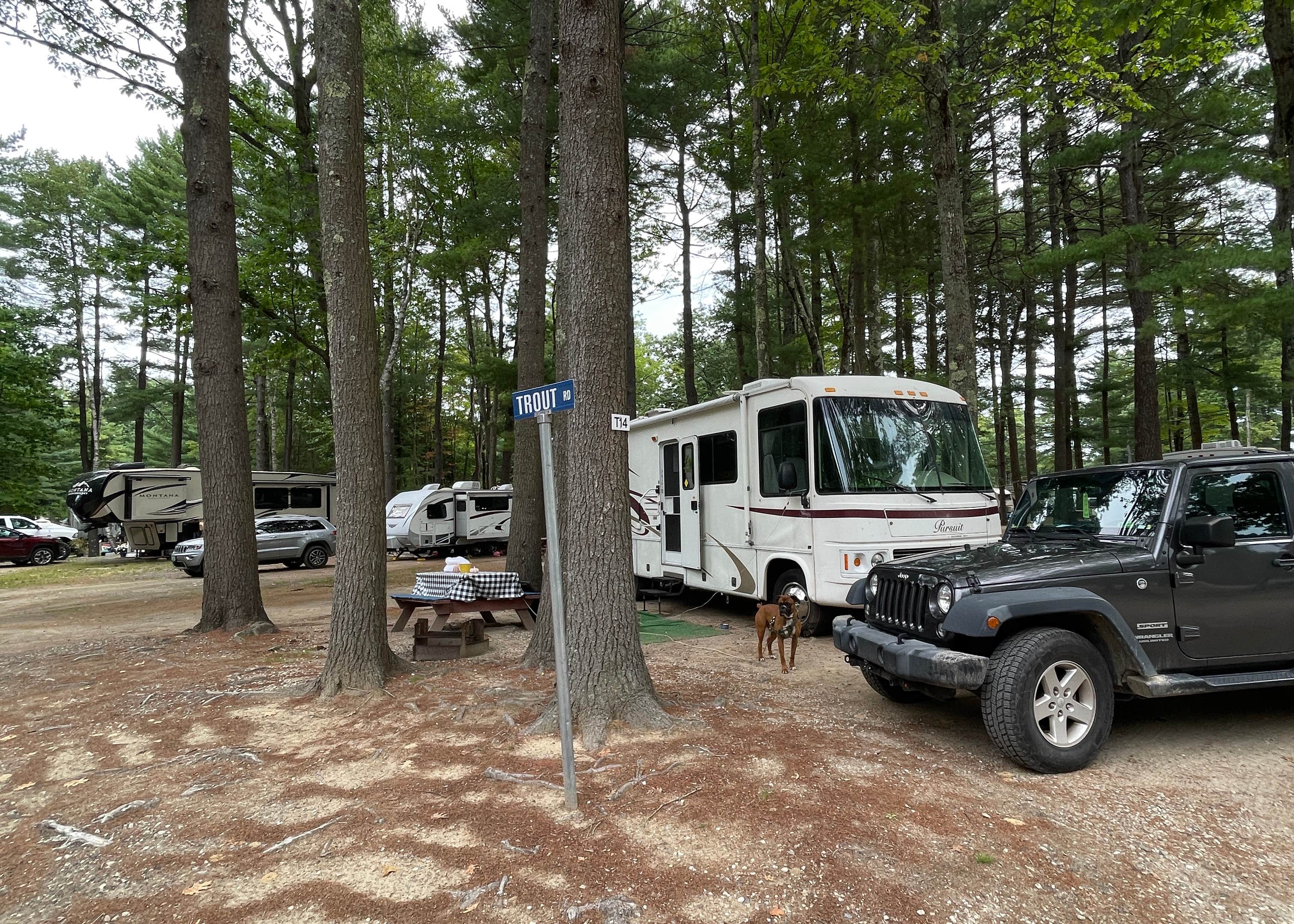 Wassamki Springs Campground Camping | The Dyrt