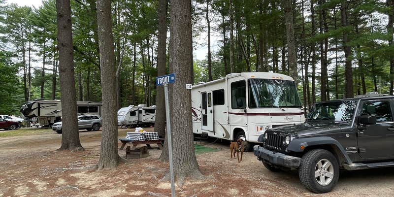 Camper submitted image from Wassamki Springs Campground