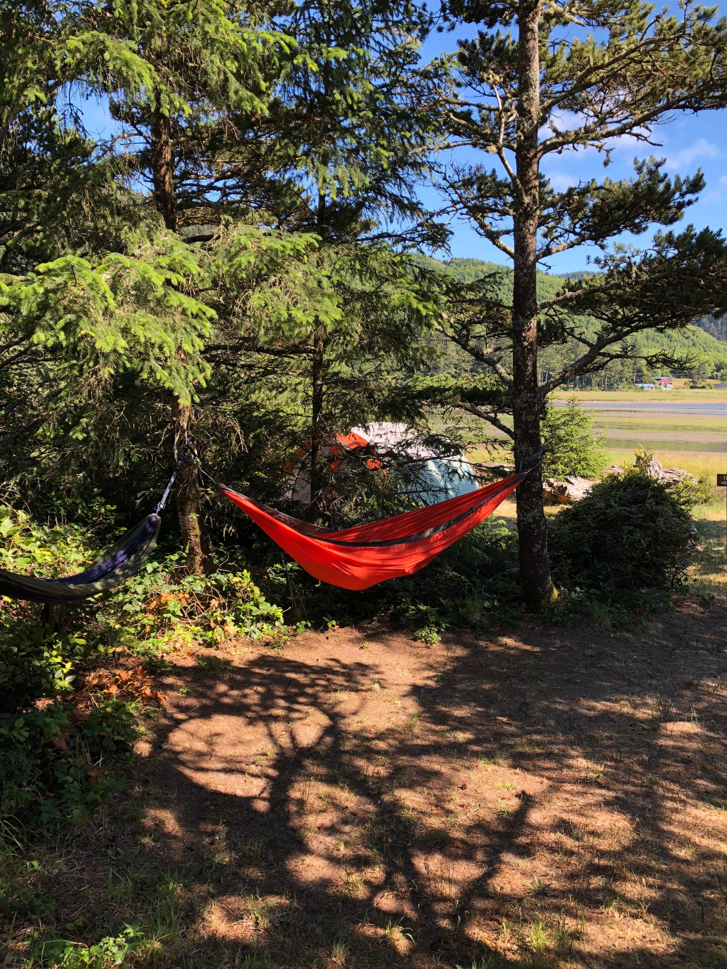 Camper submitted image from Tillamook County Whalen Island - 3