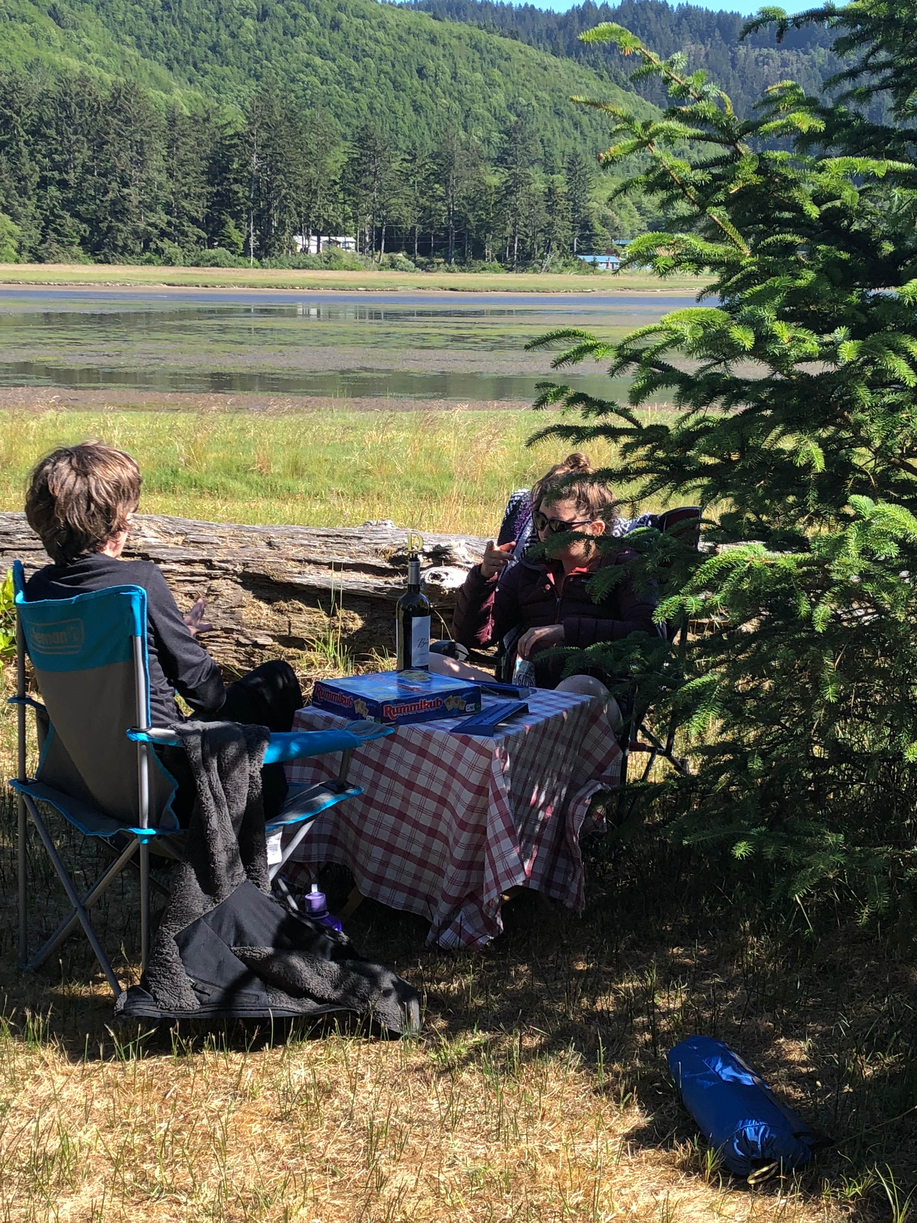 Camper submitted image from Tillamook County Whalen Island - 4