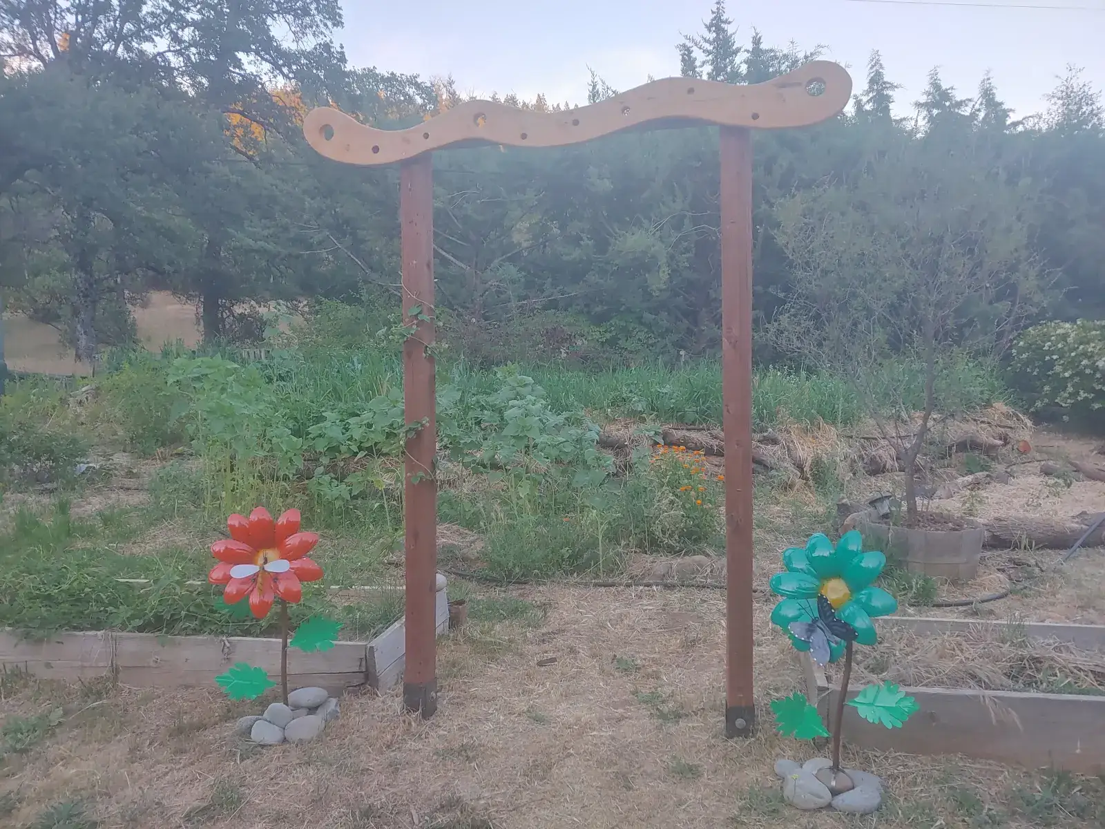 Camper-submitted photo at Oracle Oak Grove near Oroville, CA