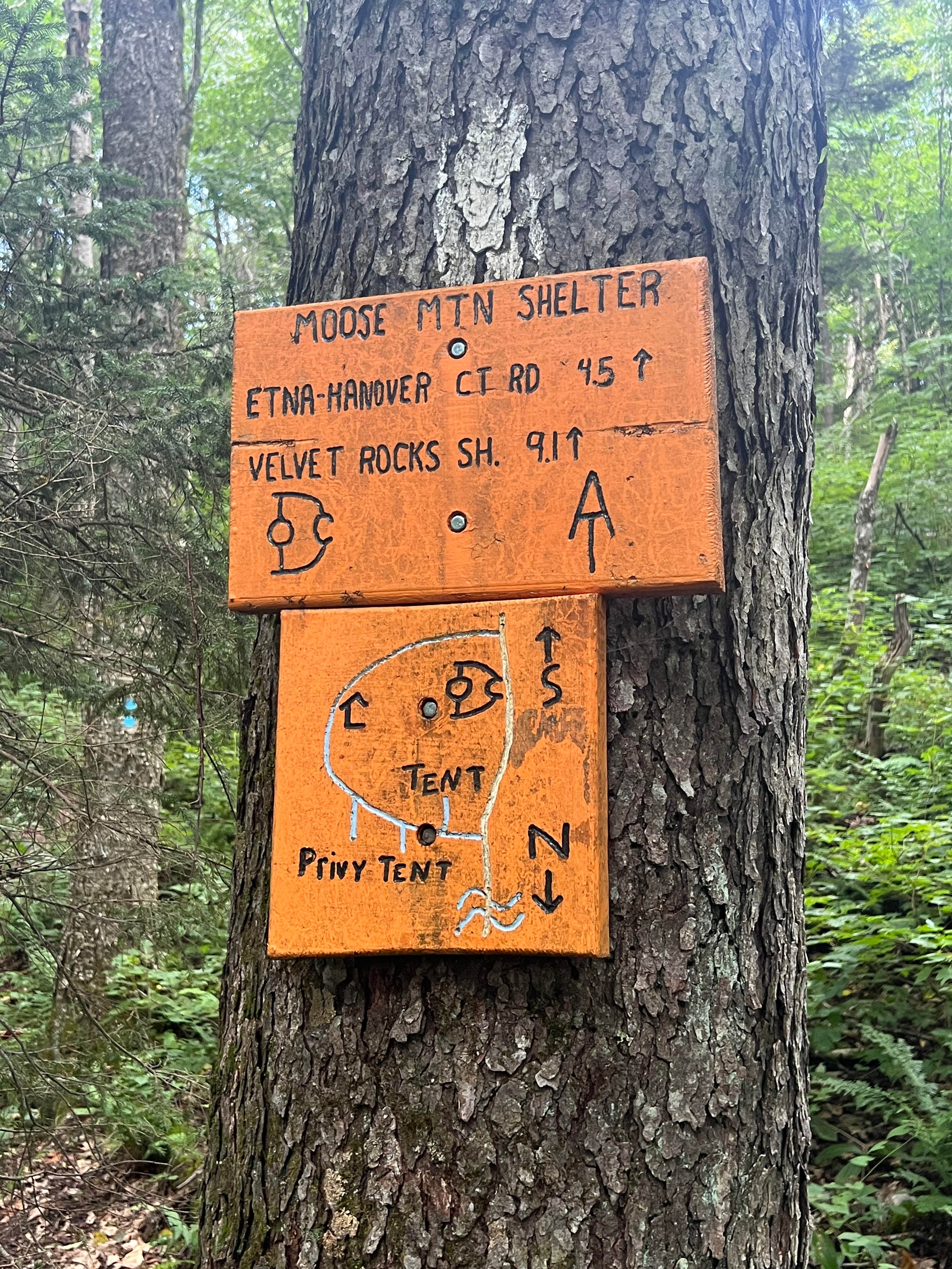 Camper submitted image from Moose Mountain Backcountry Shelter on the AT — Appalachian National Scenic Trail - 2