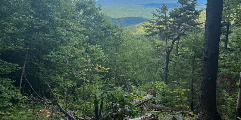 Camper submitted image from Moose Mountain Backcountry Shelter on the AT — Appalachian National Scenic Trail