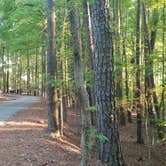 Review photo of Lake Norman State Park by Katrin M., September 13, 2022