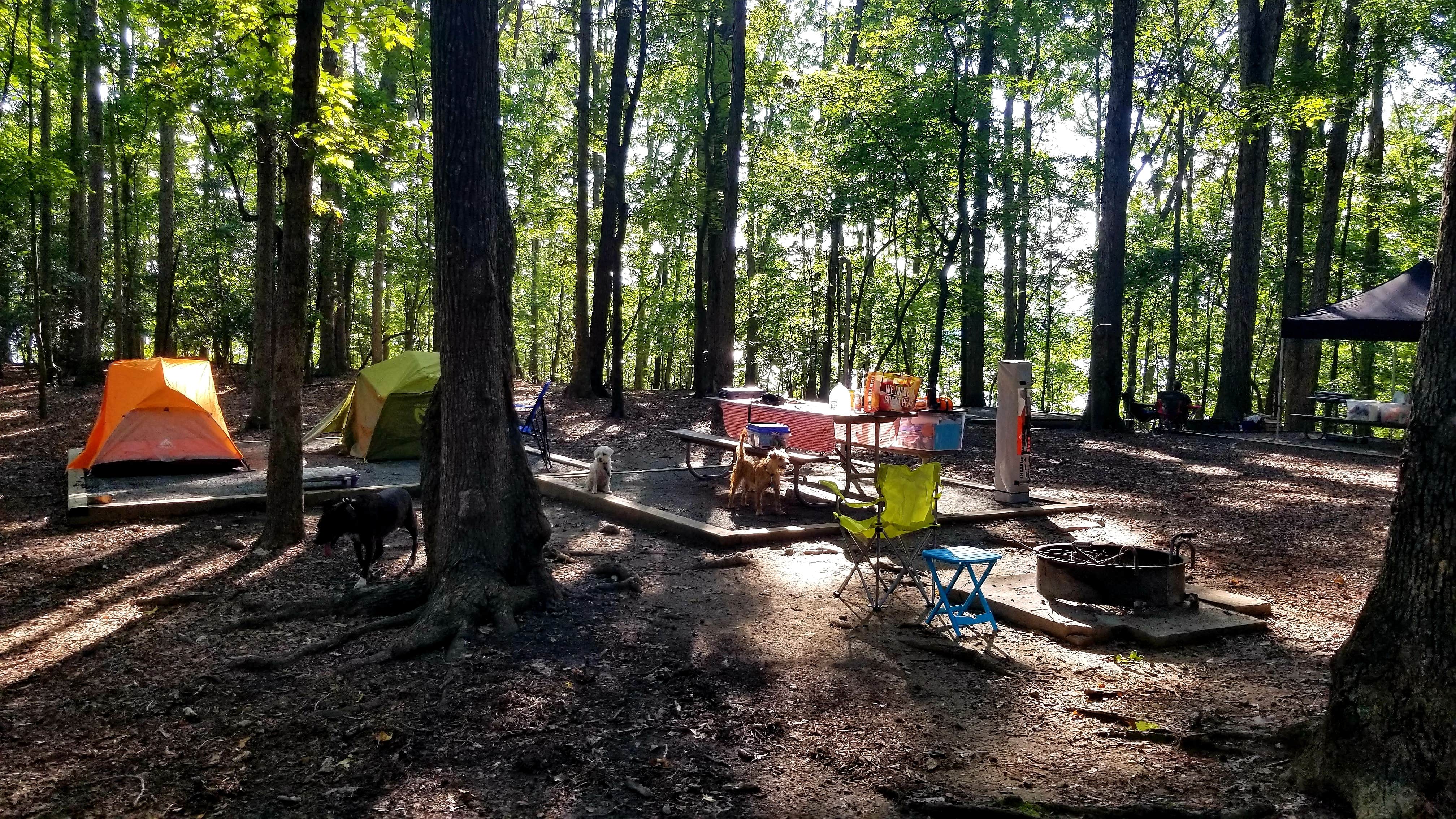 Katrin M.'s photo at Lake Norman State Park Campground near Davidson, NC