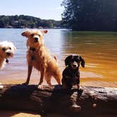 Review photo of Lake Norman State Park by Katrin M., September 13, 2022