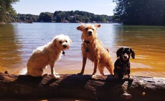 Katrin M.'s photo of camping with pets at Lake Norman State Park Campground near Charlotte, NC