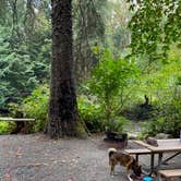 Review photo of Lyre River Campground by Sonny S., September 13, 2022