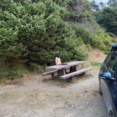 Review photo of South Beach Campground — Olympic National Park by Sonny S., September 13, 2022